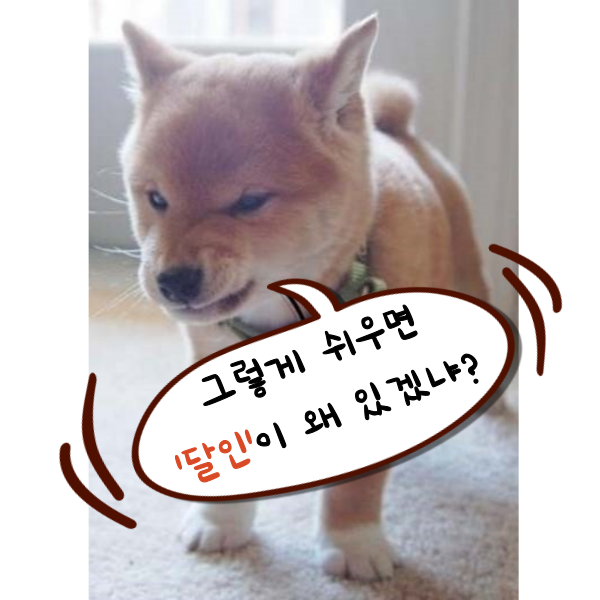 580e8e4476a319663480aab01da40046_1691117008_9521.png 580e8e4476a319663480aab01da40046_1691117008_9521.png